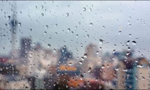 Weather