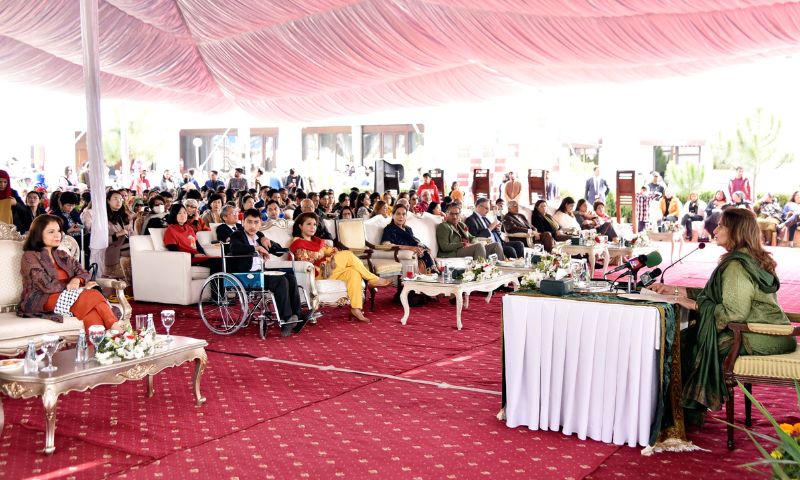 Breast Cancer, Pakistan, Begum Alvi, Samina Alvi, Foreign Office, Treatment, Health, 