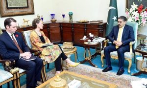 Canadian, High Commissioner, Relations, ties, Prime Minister, Anwaar-ul-Haq Kakar, government, Reko Diq, economy, investment