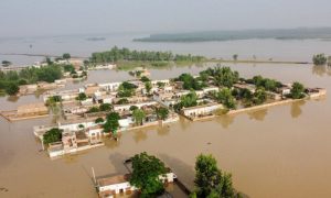 Media, Pakistan, China, journalists, times, climate change, Fund, COP28, Dubai, UAE,