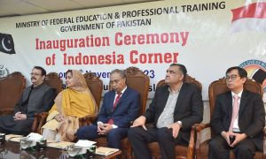 Indonesia, Pakistan, National Book Foundation, Culture, Bhasha, IDEAS