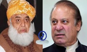 Pakistan Muslim League-Nawaz, Khyber Pakhtunkhwa, Nawaz Sharif, Jamiat Ulema-e-Islam, Maulana Fazlur Rehman, JUI-F, Pashtunkhwa Milli Awami Party, Balochistan Awami Party