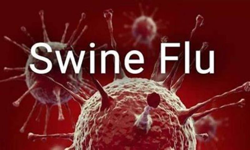 UK, Swine Flu, Influenza, Health, Investigation, Case, Pandemic, Medical, UK Health Security Agency,