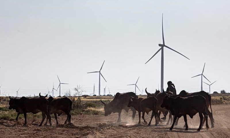 Thatta, Pakistan, Sindh, wind turbines, Yang Jianduo, PowerChina power projects, clean energy