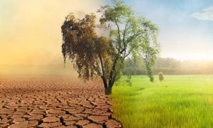 Climate, Disaster, Economies, Himalayan, Karakoram, Pakistan, Agriculture