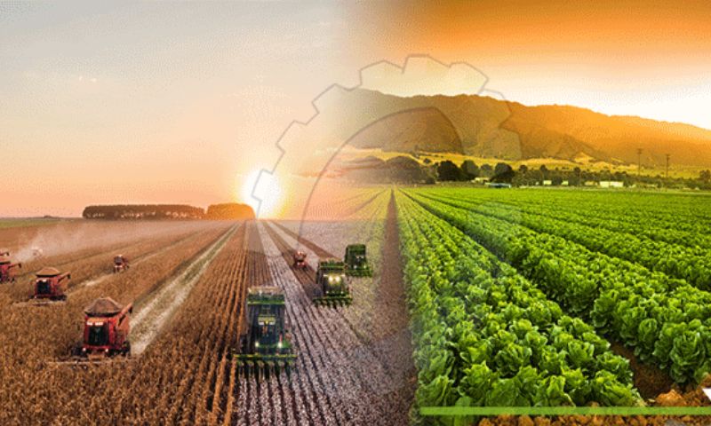 Climate, Disaster, Economies, Himalayan, Karakoram, Pakistan, Agriculture
