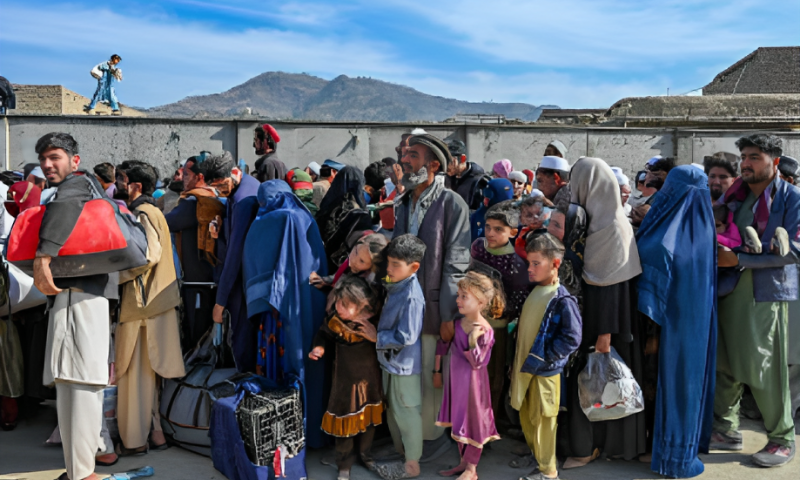 Around 6,600 Afghan Migrants Repatriated: Officials