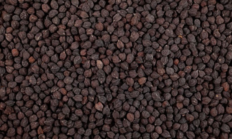Chickpeas