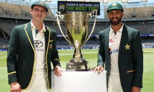 Cricket