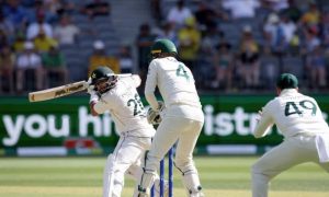 Cricket
