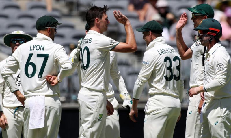 Cricket
