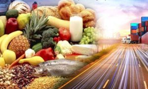 Food, exports, Pakistan, million, dollars, Pakistan Bureau of Statistics, oil, rice, data