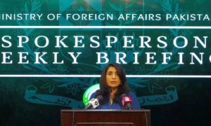 Pakistan's Foreign Office, United Nations Security Council, ceasefire, Gaza, Israel, Gaza's population