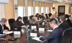 United States, US, Elizabeth Horst, Minister for Finance, Dr. Shamshad Akhtar, Finance Division, FBR, IMF, Economic Reforms,