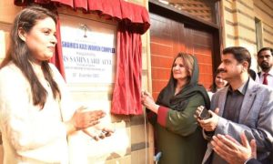 Pakistan, First Lady, Begum Samina Alvi, Women, Workforce, Begum Samina Alvi, Karachi, Complex, Digital, Careers, Breast Cancer, Media, Hospitals, Health