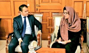 Pakistan, Ambassador, European Union, Belgium, Luxembourg, Kuwaiti, book, embassy, development, government
