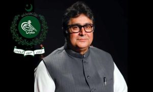 ECP, Fawad Hasan Fawad, Minister for Privatisation, Elections,