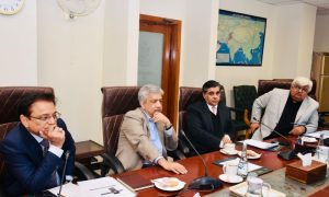 Commerce, Minister, Special Economic Zones, SEZs, Karachi, IT, Information Technology,