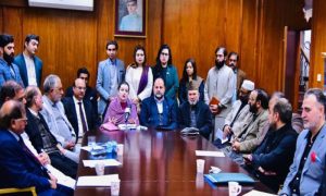 Kashmir, Advisory Committee, Consultative, Session, Developing, IIOJK, Palestine