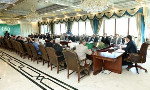Pakistan, Prime Minister, Anwaar-ul-Haq Kakar, Health, Reforms, medical, education, Higher Education Commission