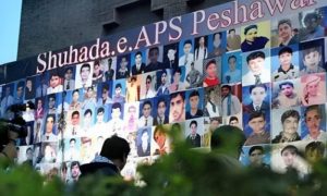 Army Public School, APS attack, Pakistan, terrorism, Ikhtair Wali Khan, Manzoorul Haq