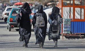 Afghan activist, Rita Safi, Western governments, women, Taliban-ruled Afghanistan, asylum, France, Frozan, women's rights defender, Afghanistan