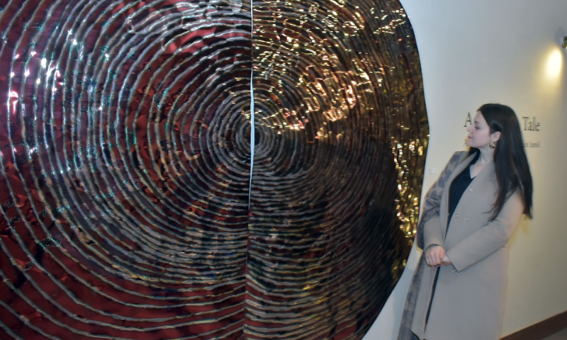 A Mirrors Tale Artist Hussain Jamils Exhibition Opens at PNCA 1