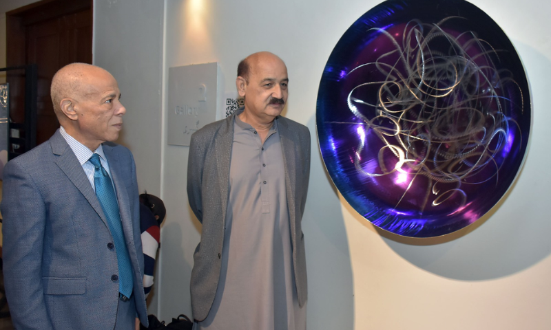 A Mirrors Tale Artist Hussain Jamils Exhibition Opens at PNCA 2