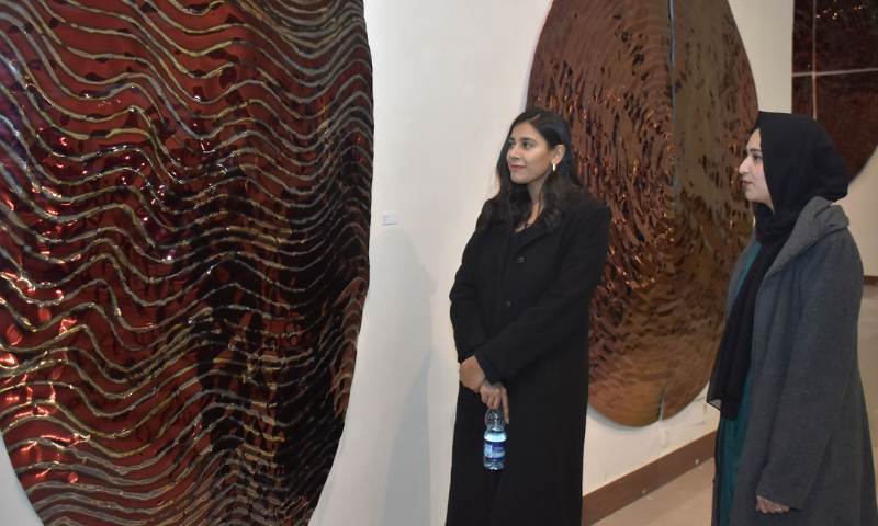 A Mirrors Tale Artist Hussain Jamils Exhibition Opens at PNCA 3