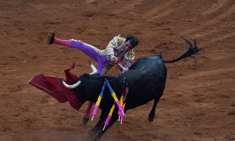 Bullfighting