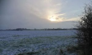 Cold