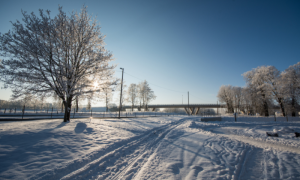 Cold, Dry Weather Expected in Parts of Pakistan