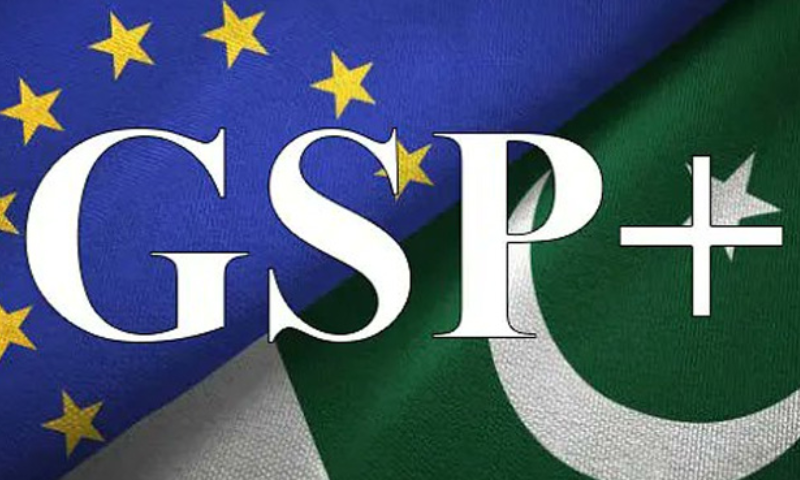 EU Envoy Urges Pakistani Businessmen to Take Benefit of GSP Plus