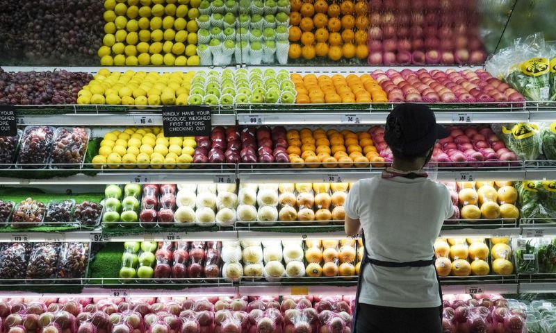 Global Food Prices, 2023, Oils, Grains, Rome,