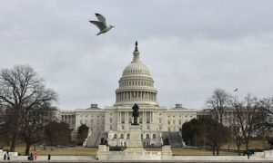 Biden, Bill, US, Congress, Republican, American, President, US, Democratic, Federal Budget, White House, Pentagon