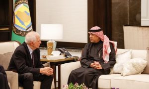 GCC, EU, Gaza, Palestinians, Israeli, Gaza Strip, Josep Borrell, War