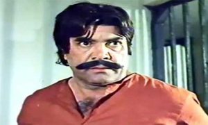 Sultan Rahim, Pakistani, Film, Maula Jutt, Actor, Guinness Book of World Records