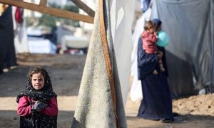 Humanitarian, Palestinian, Gaza, Israel, Gaza Strip, Qatar, Medicines, Aid, Hamas, United Nations