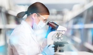 Scientists, Discovery, Q Fever Treatment, Defense Science and Technology Laboratory, Coxiella burnetii