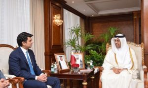 Pakistan, Qatar, Workforce, Human Resource, Doha, Visa,