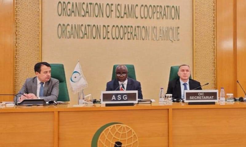 OIC, meeting, Riyadh, Saudi Arabia, education, development, Jeddah, Economic, Morocco, Türkiye, Libya, Chad