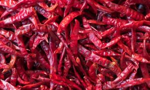 Pakistani Chilies