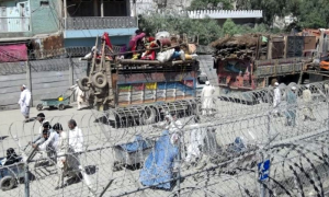 Repatriation of Undocumented Afghans Continues
