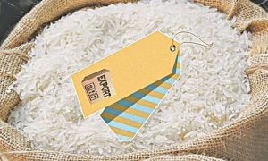Pakistan Exported Rice Valuing $1.638b During First Half of Current FY