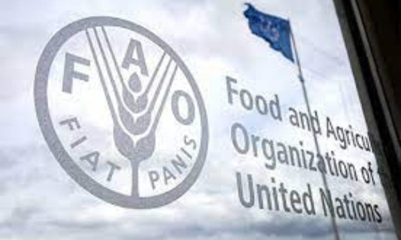 Pakistan, conference, Rome, Asia, agriculture, financing, pandemic, markets, climate, emergencies, economies