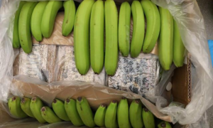 British Police Recovers 5,700 kg of Cocaine
