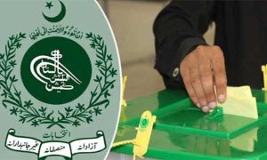 Elections 2024
