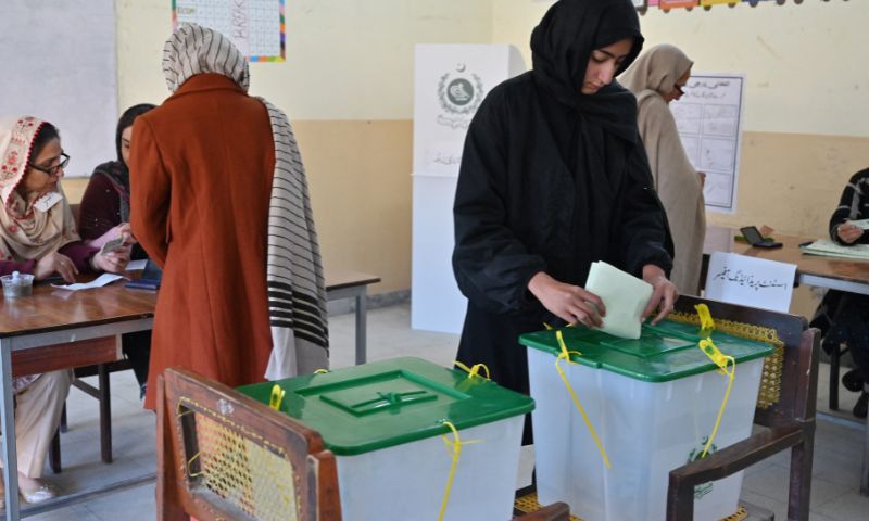 Elections 2024 