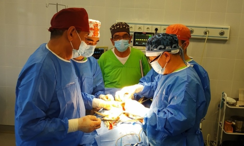 Free Kidney Transplant Surgery to be Performed in Kyrgyzstan: Report