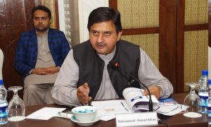 Malik Ahmad Khan, Malik Zaheer Iqbal, PML-N, Speaker, Deputy Speaker, Punjab Assembly, Ahmad Khan Bhachar, Sunni Ittehad Council, SIC,